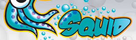 Squid Cache